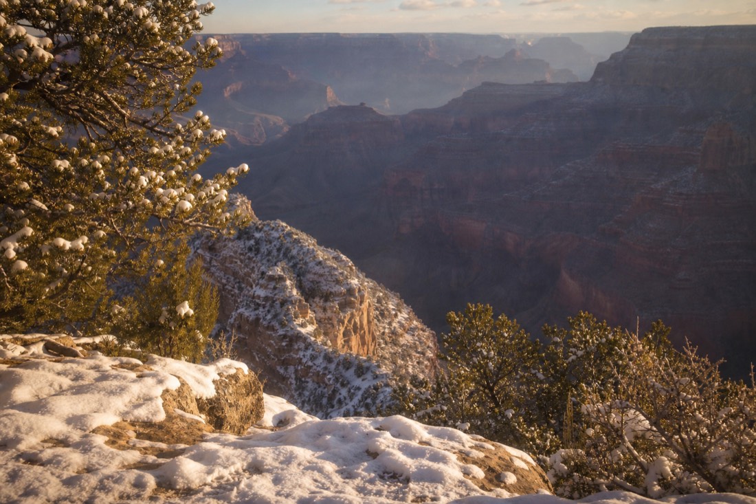 Fresh snow dusting junipers and the canyon rim under soft winter morning light with no one in sight