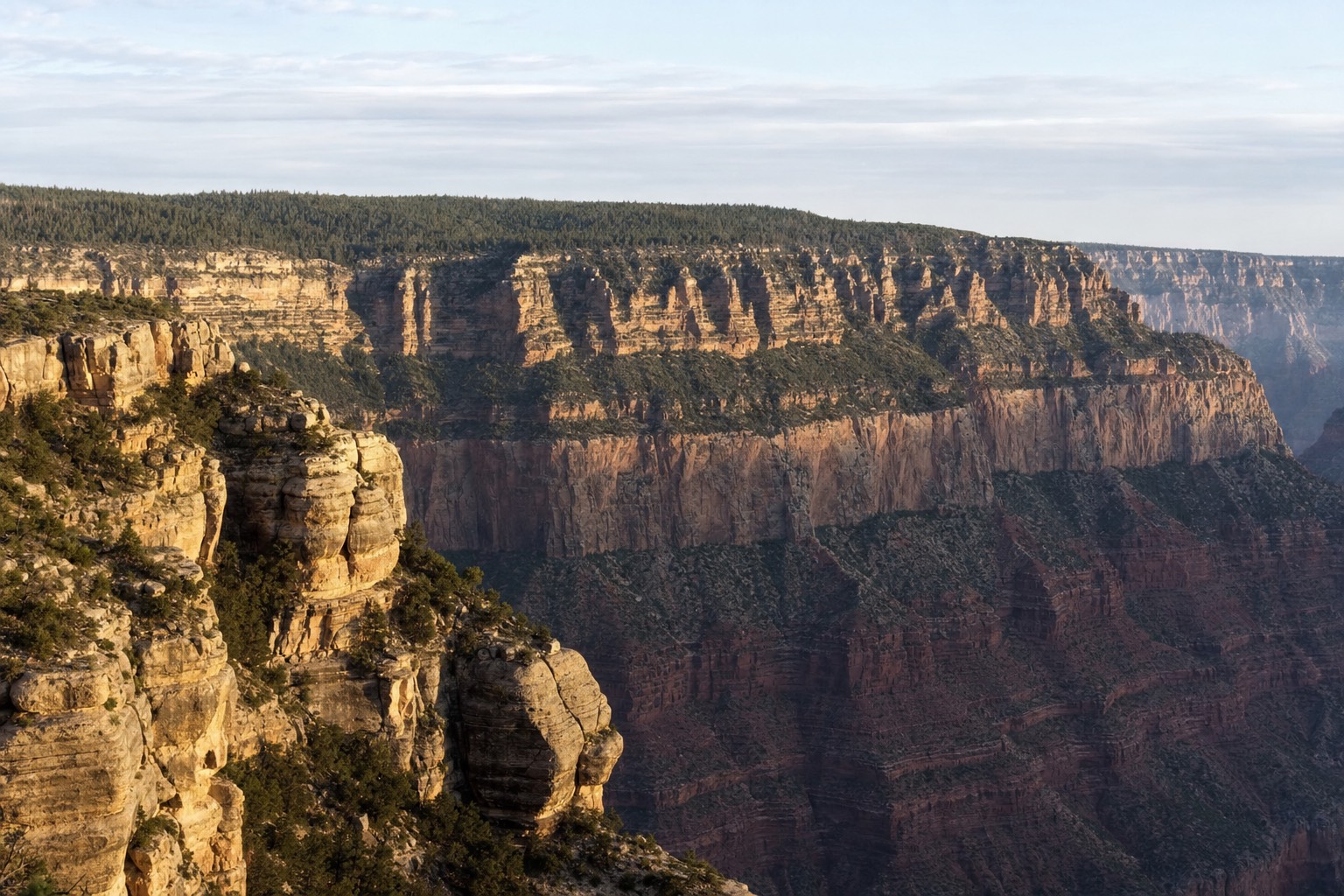 The forested North Rim plateau of the Grand Canyon seen across the gorge in early morning light