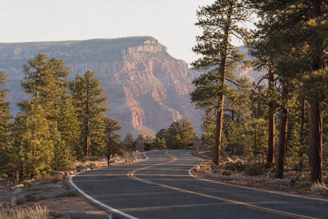 Empty forest road curving through tall pines toward the closed North Rim entrance of Grand Canyon National Park