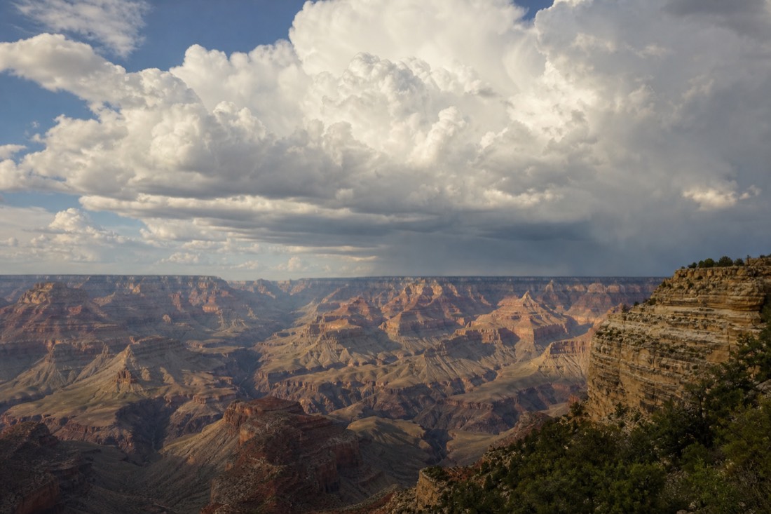 Towering summer clouds building over the vast layered gorge of the eastern Grand Canyon