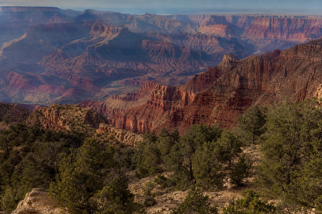 An aerial view over the forested rim and vast inner gorge on a canyon overflight from Tusayan