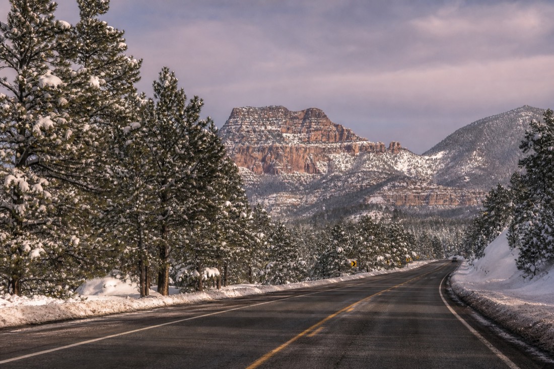 Snow-covered ponderosa pines lining a plowed two-lane highway north of Flagstaff under a grey winter sky