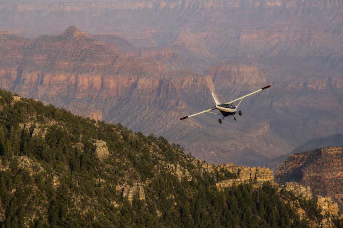 A small sightseeing aircraft banking over the forested South Rim with the canyon opening beyond