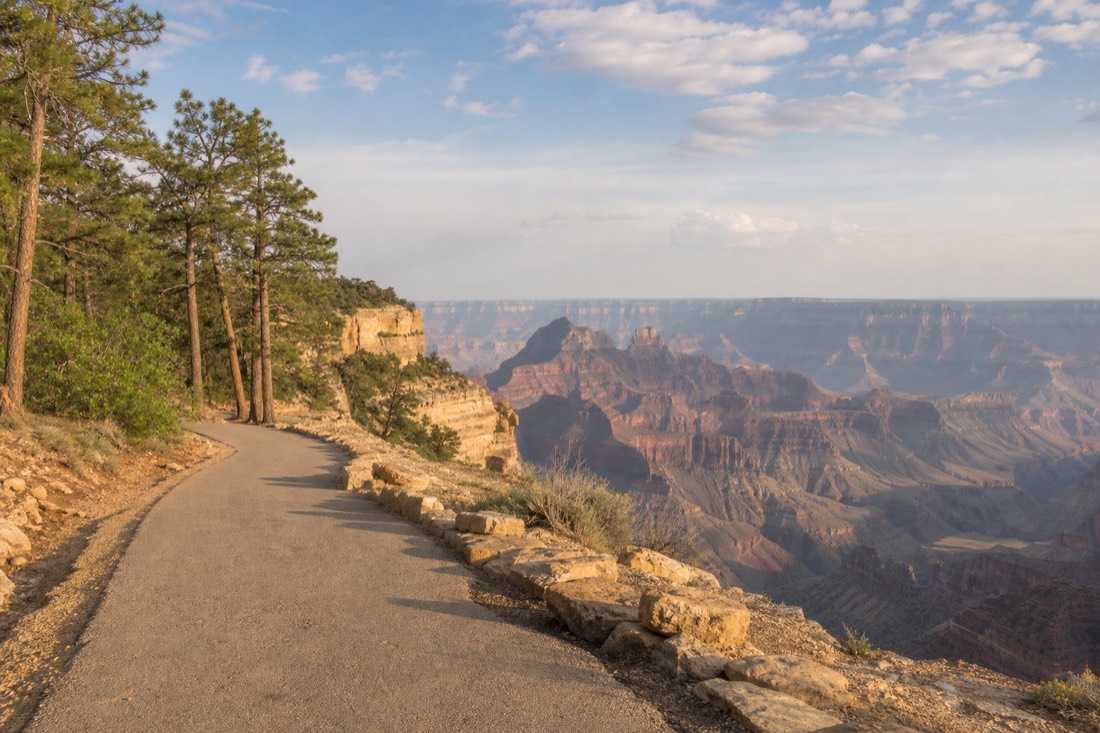 Walkers on the paved Rim Trail between viewpoints with ponderosa pines on one side and open canyon on the other