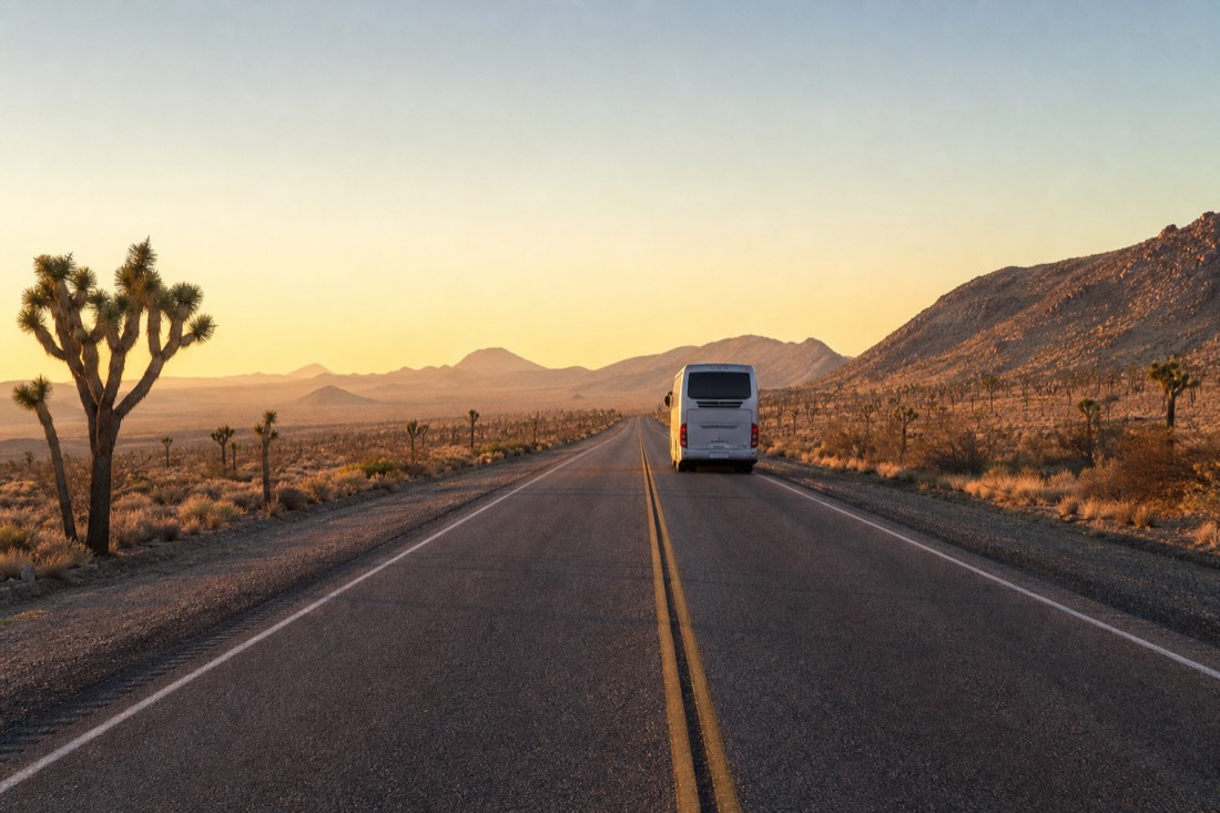 A tour coach on a long straight desert highway at sunrise with Joshua trees scattered across the Mojave flats