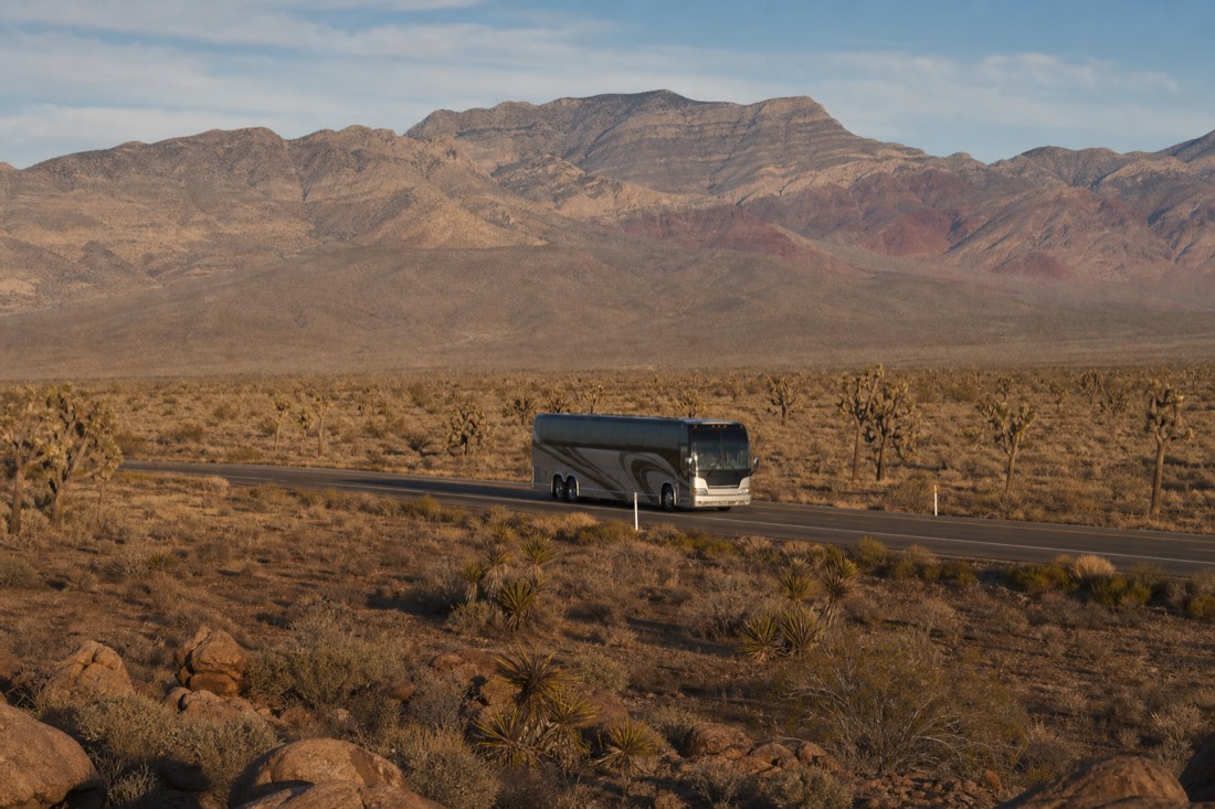 Tour coach rolling through open Mojave desert on US 93 with Joshua trees scattered toward distant ridgelines