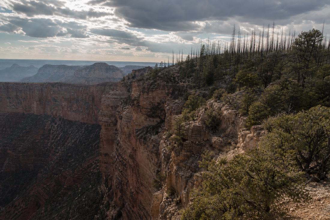 High forested canyon rim under dramatic clouds with burned ponderosa snags on a distant ridge
